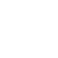 Security Icon